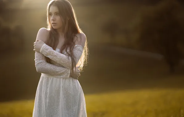 The sun, pose, model, portrait, hands, makeup, figure, dress