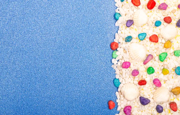 Blue, background, color, texture, shell, colorful, items, the nautical theme