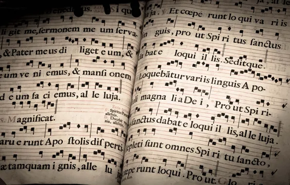 Notes, book, notebook