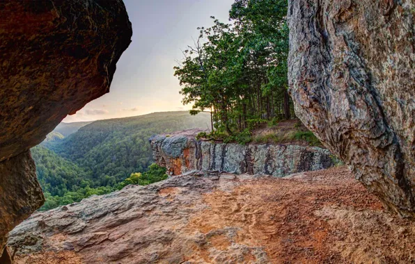 Trees, rocks, Arkansas, Ozark National Forest, Whitaker Point Trail, Upper Buffalo Wilderness Area