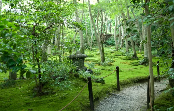 Summer, trees, Japan, garden, path