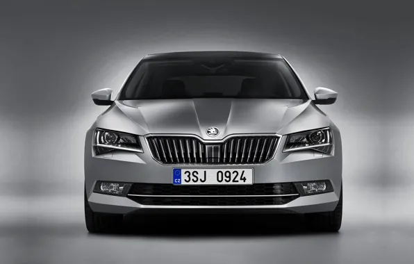 Picture Skoda, Skoda, 2016, Superb, superb