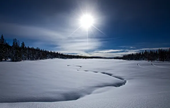 Picture winter, snow, lake, frozen lost lake