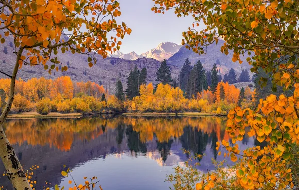 Autumn, trees, mountains, branches, reflection, river, CA, California