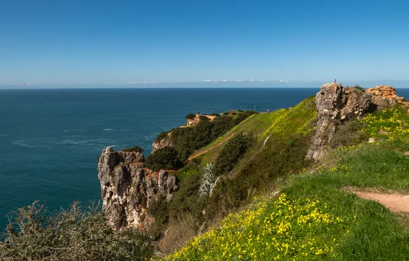 Sea, grass, stones, rocks, shore, spring, flowers, blue sky