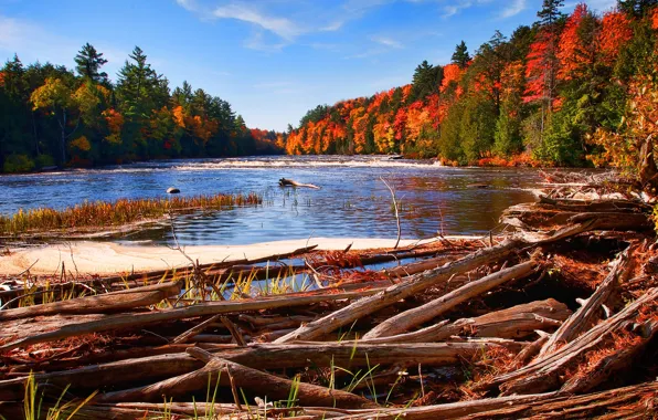 Picture autumn, forest, the sky, river