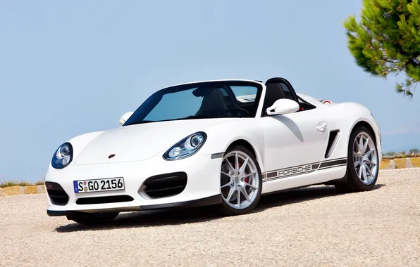 Picture Porsche, convertible, 2010, Porsche, Boxster, Spyder, spider, bokster