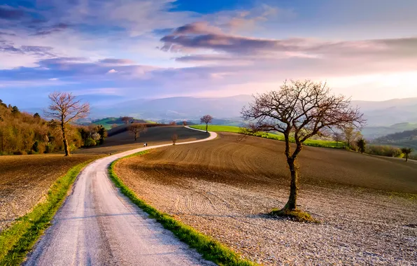 Road, the sky, clouds, trees, field, spring, Italy, March