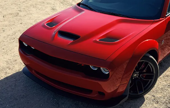 Dodge, Challenger, front view, Widebody, Scat Pack, Challenger RT, 2019