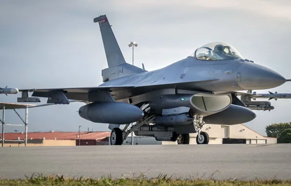 F-16, Fighting Falcon, General Dynamics, the fourth generation fighter, American multifunctional lightweight
