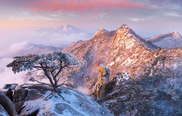 Winter, clouds, snow, mountains, tree, rocks