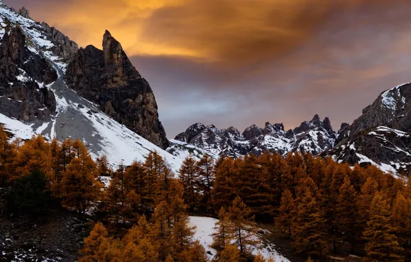Picture snow, trees, mountains, slope