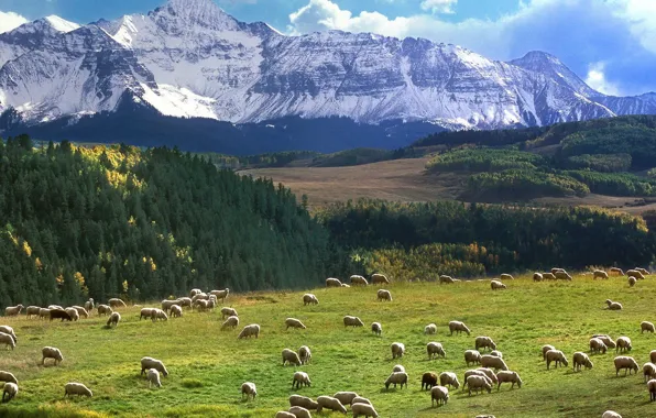 Mountains, Field, pasture