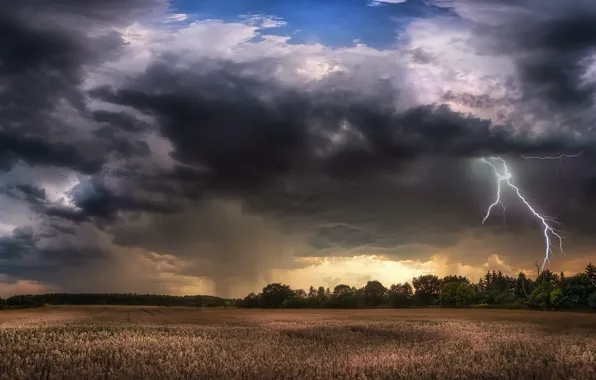 The storm, field, summer, clouds