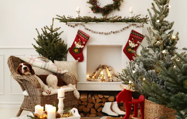 Decoration, balls, tree, dog, Christmas, gifts, New year, snowman