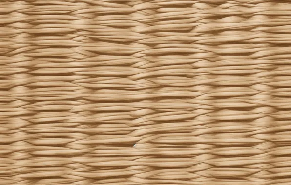 Background, Wallpaper, wallpaper, background, beautiful texture, beautiful texture, straw color, straw color