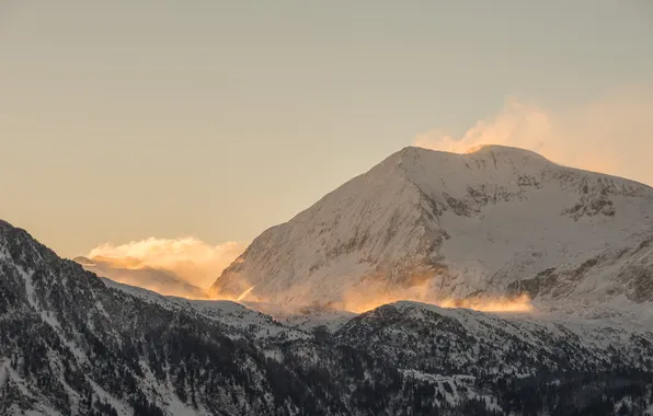 Snow, trees, mountains, dawn, tops