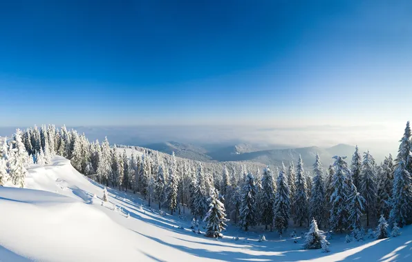 Snow, mountains, slope, tree