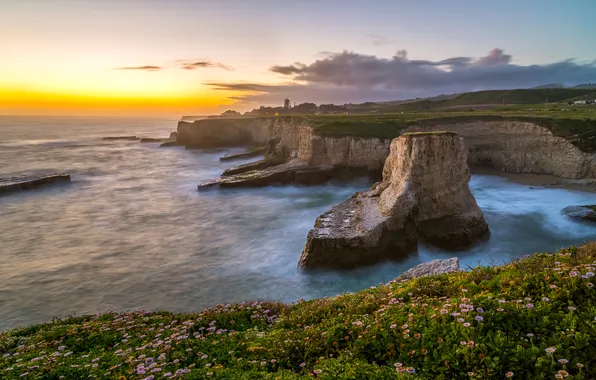 Sea, flowers, rocks, dawn, coast, horizon, CA, USA