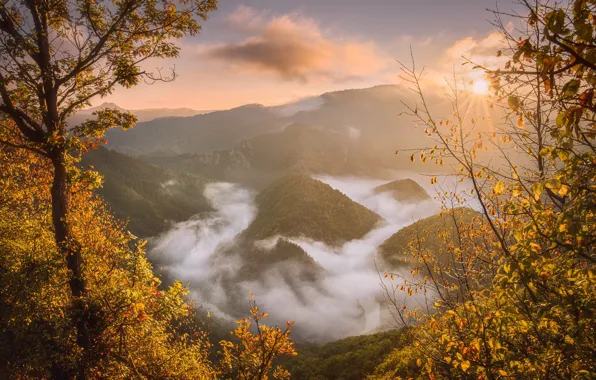 Picture autumn, clouds, landscape, mountains, nature, fog, river, forest