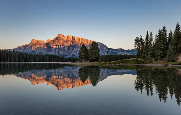 Forest, the sky, light, mountains, reflection, rocks, shore, view