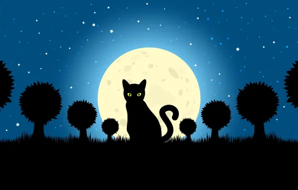 Picture cat, stars, the moon, shadow