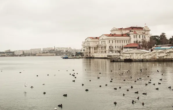 Sea, Bay, Crimea, Sevastopol, winter in the Crimea