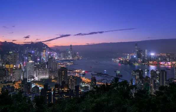 Hong Kong, Eastern, Pak Root