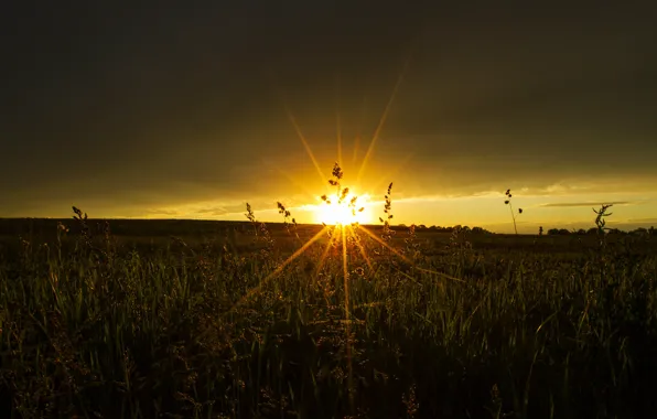 Picture field, sunset, rays of light