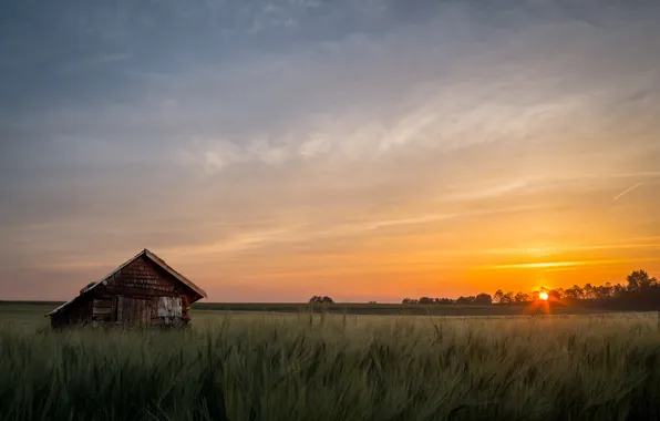 Field, sunset, home