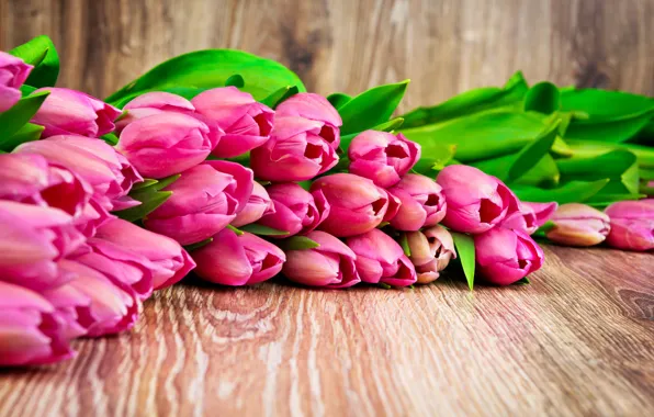 Bouquet, tulips, love, fresh, pink, flowers, romantic, tulips