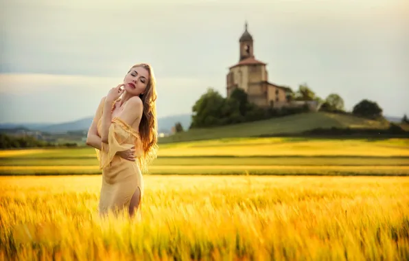 Picture field, girl, nature, pose, hair, dress, beauty, Paul Gray