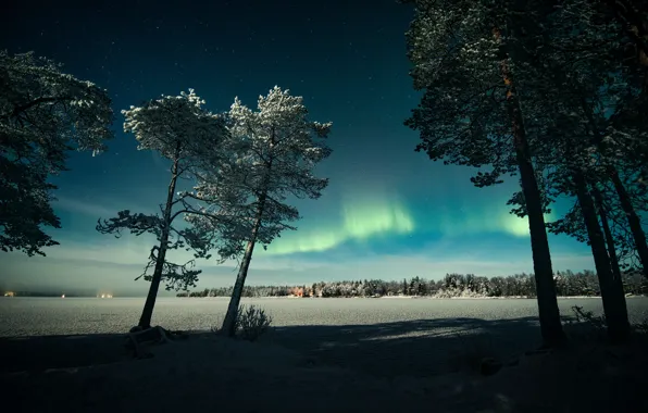 Winter, frost, field, forest, the sky, stars, light, snow