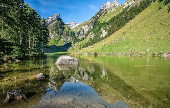 Trees, mountains, lake, reflection, stones, Switzerland, Alps