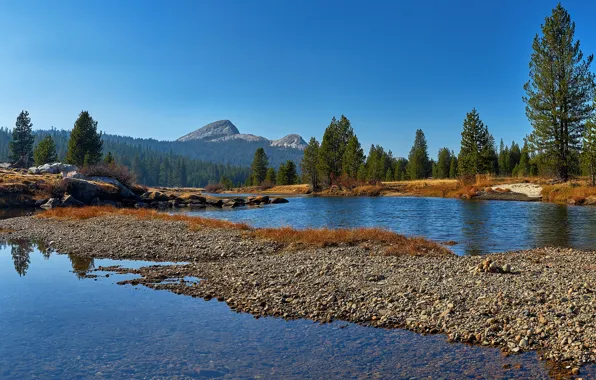 Forest, the sky, water, the sun, trees, mountains, lake, stones