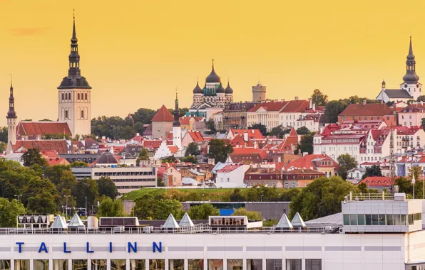 Picture building, roof, Estonia, Tallinn, panorama