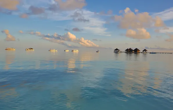 Stay, boat, Paradise, The Maldives, Bungalow, The Indian ocean