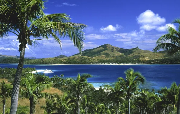 Tropics, palm trees, the ocean, ship, Laguna