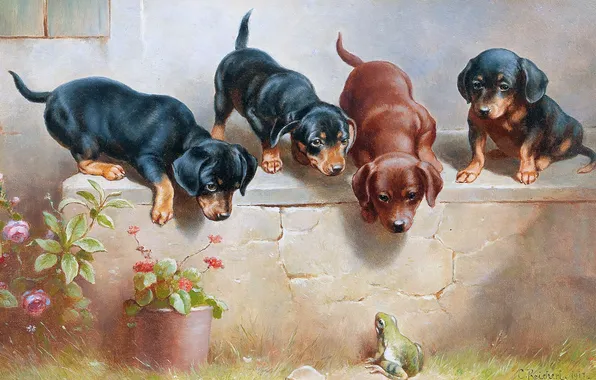 Puppies, Frog, Picture, Dogs, Kids, Four, Carl Reichert, Carl Reichert