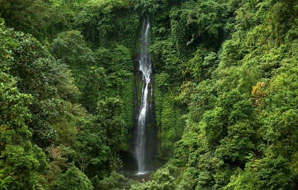 Green, forest, landscape, jungle, waterfall