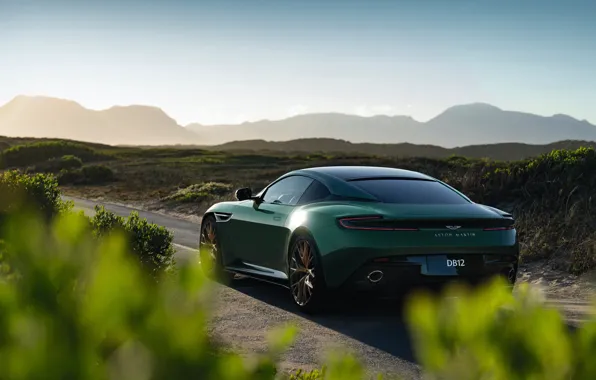 Green, Aston Martin, supercar, rear view, 2023, Aston Martin DB12, DB12