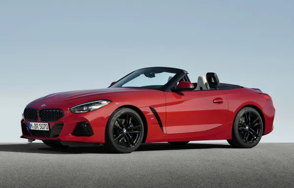 Picture the sky, asphalt, red, BMW, Roadster, BMW Z4, First Edition, M40i
