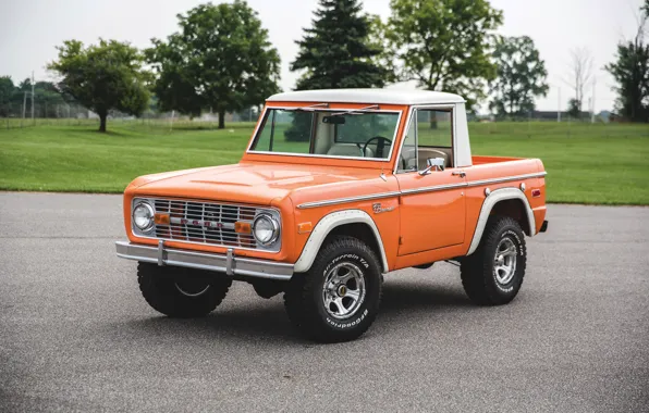 Picture orange, Ford, Bronco, before, Half Cab