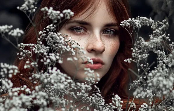 Freckles, sponge, redhead, bokeh, kassio. epia