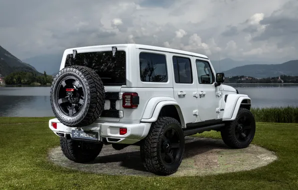 Picture ass, Wrangler, Jeep, Unlimited, 2019, Soldier, Ferōx