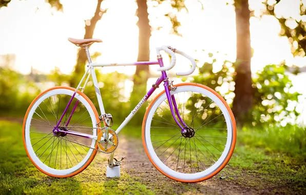 Greens, grass, leaves, trees, bike, background, Wallpaper, vegetation