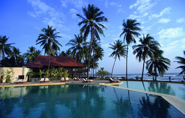 Picture palm trees, the ocean, pool, Thailand, resort