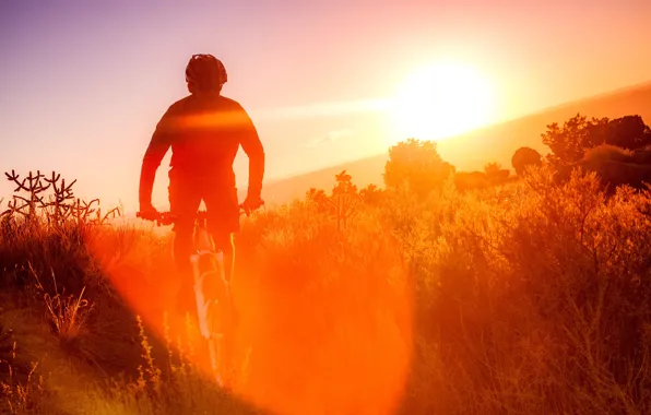 Picture nature, morning, athlete, cyclist, Sandia mountains bike