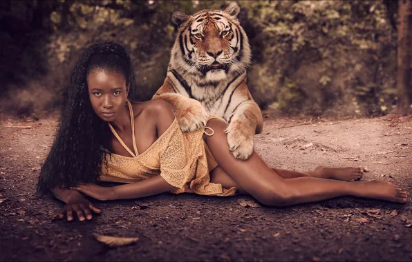Picture tiger, chocolate, mulatto, girl, two, tiger, two, chocolate