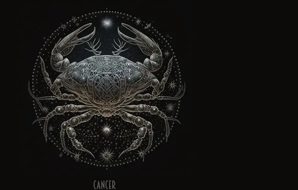 Creative picture, zodiac sign cancer Desktop wallpapers 1024x1024
